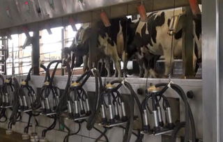 【cip清洗系統(tǒng)fcs10au食品廠全自動(dòng)泡沫清洗機(jī)】- 