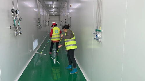 什么是開荒保潔 什么是精保潔 99 的人不知道它們的區(qū)別